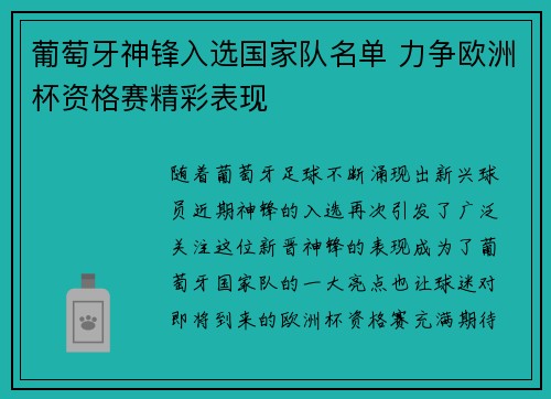 葡萄牙神锋入选国家队名单 力争欧洲杯资格赛精彩表现