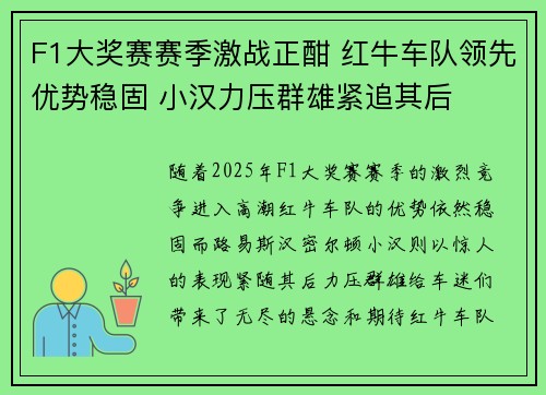 F1大奖赛赛季激战正酣 红牛车队领先优势稳固 小汉力压群雄紧追其后